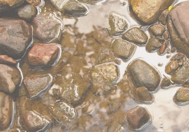 Rocks in creek