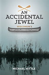 An accidental jewel book cover