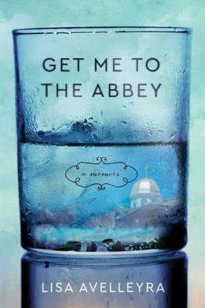 get me to the abbey book cover