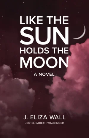 like the sun holds the moon book cover