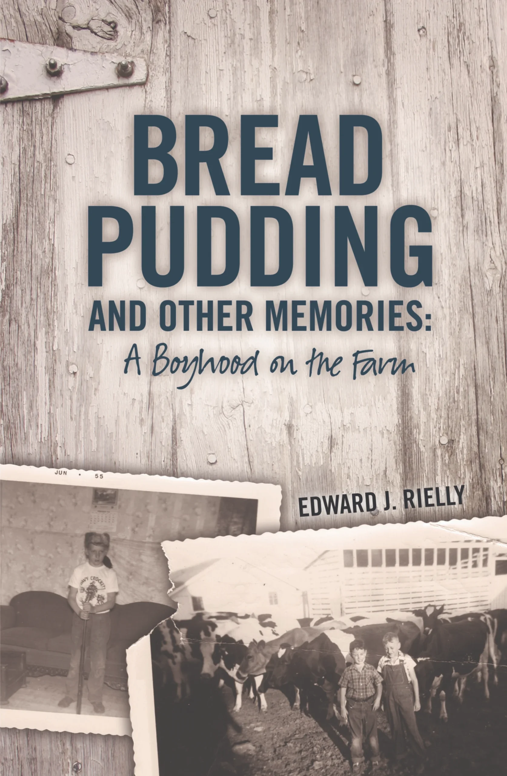 bread pudding book cover