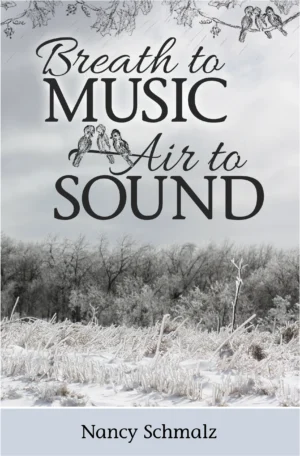 breath to music air to sound book cover