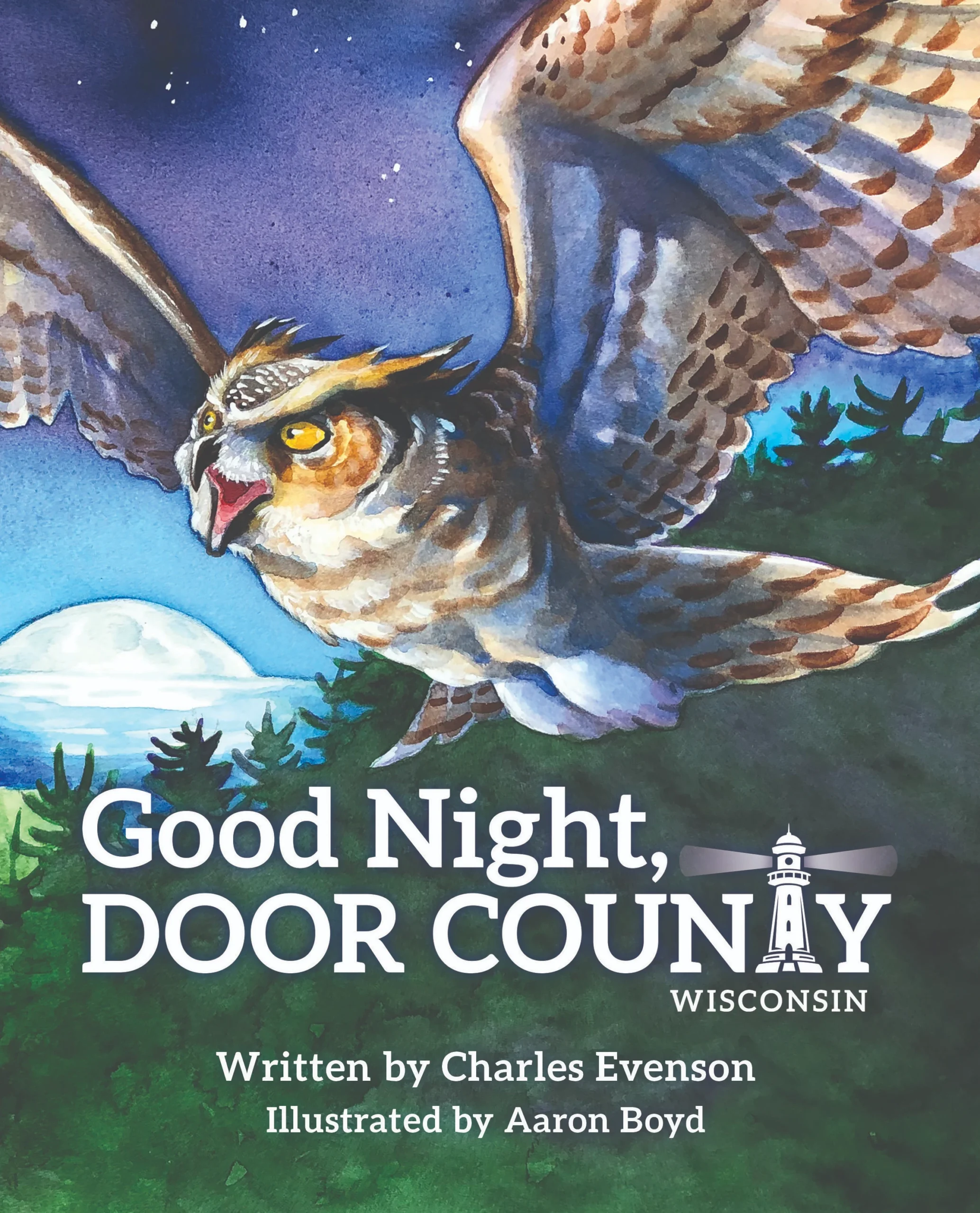 good night door county book cover