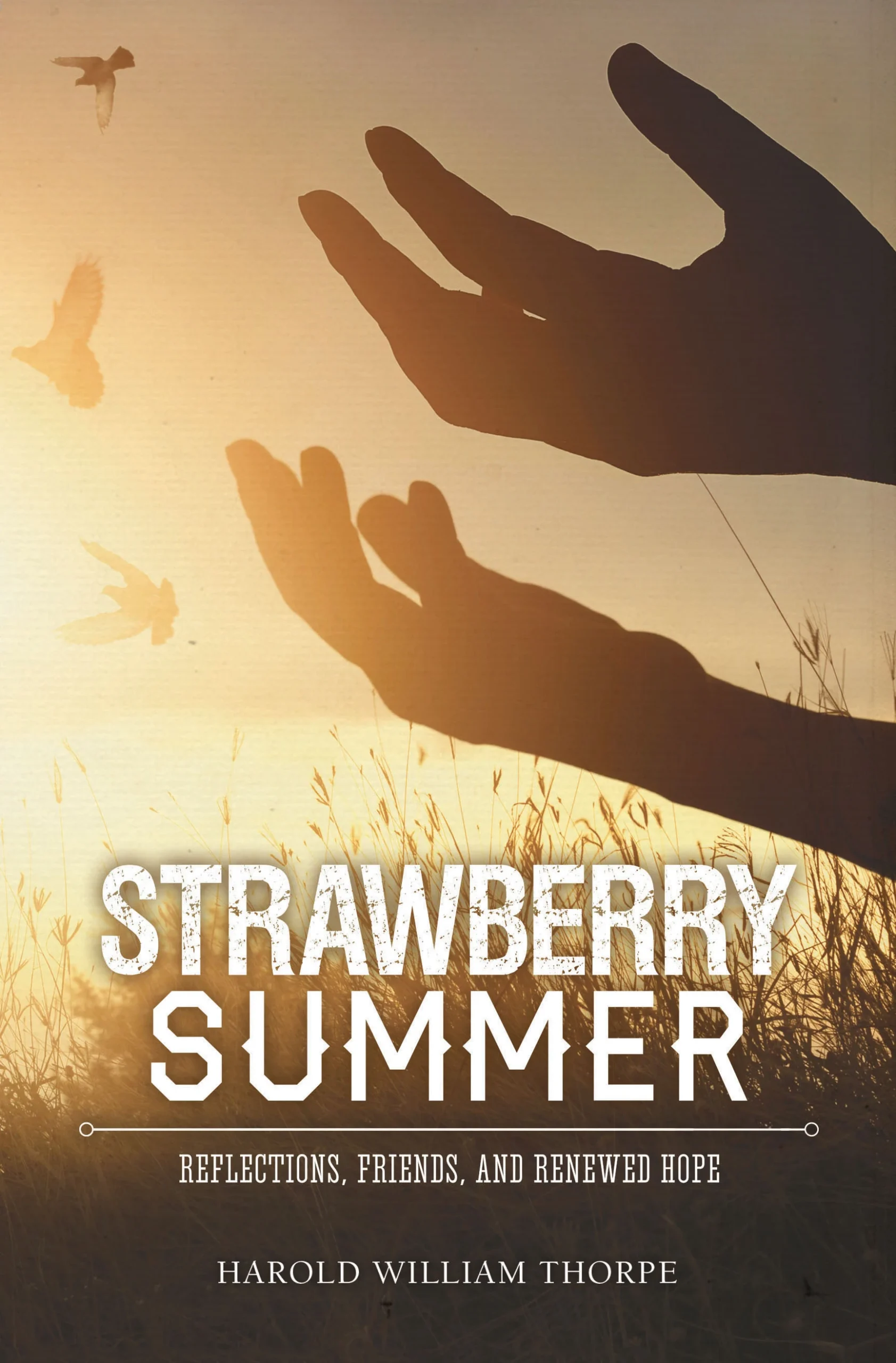 strawberry summer bookcover