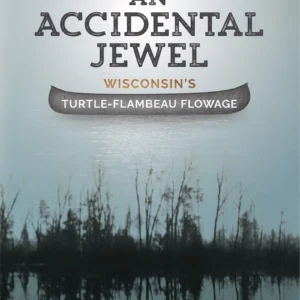 accidental jewel book cover