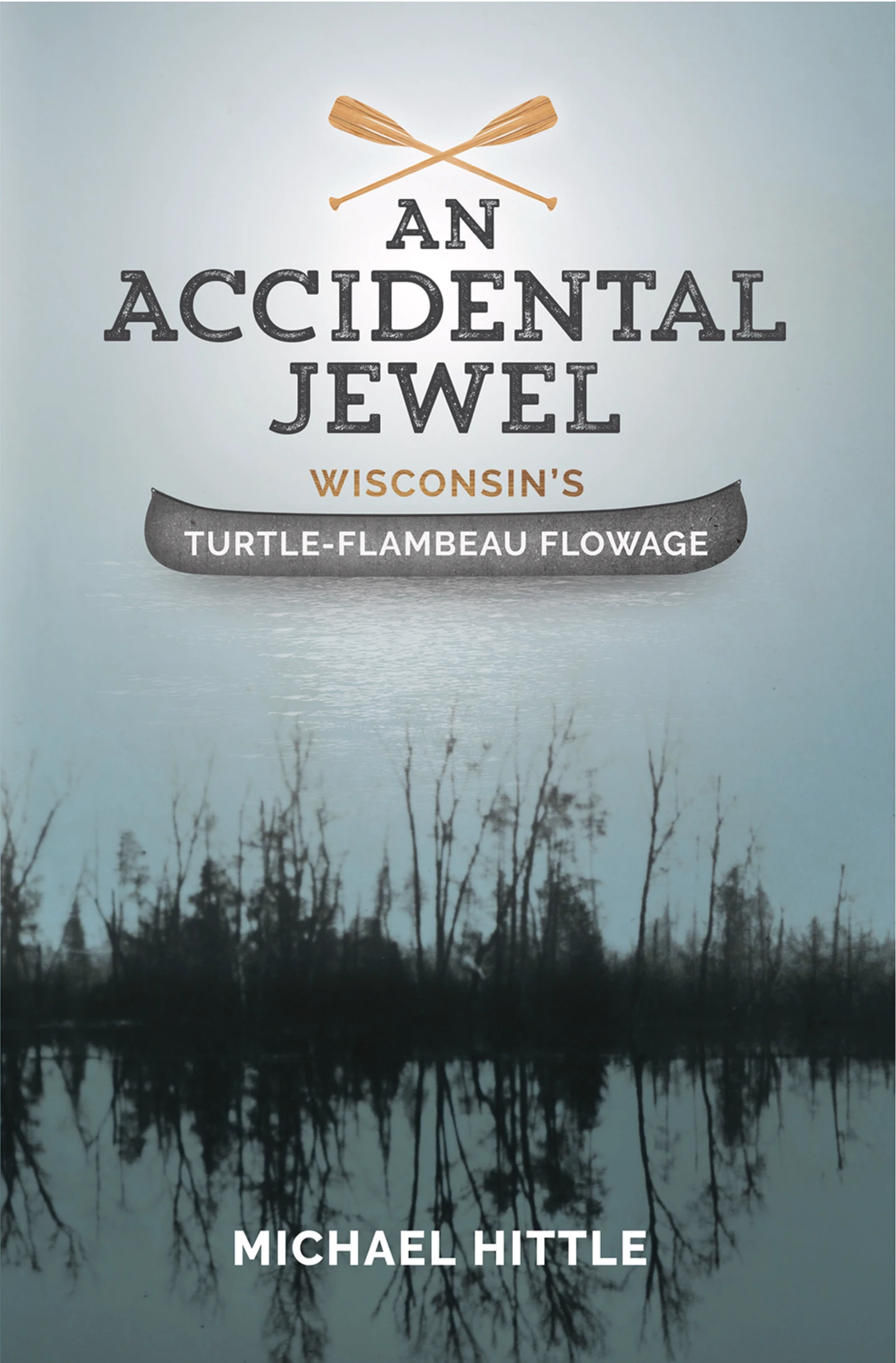 accidental jewel book cover