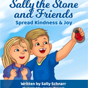 sally the stone book cover
