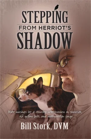 stepping from herriots shadow book cover