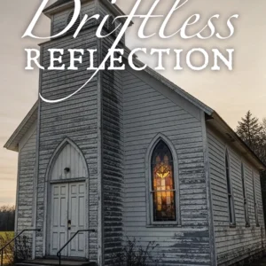 Driftless Reflection (Book Seven in the Driftless Mystery Series)
